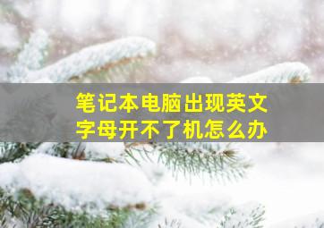 笔记本电脑出现英文字母开不了机怎么办