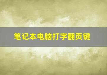 笔记本电脑打字翻页键