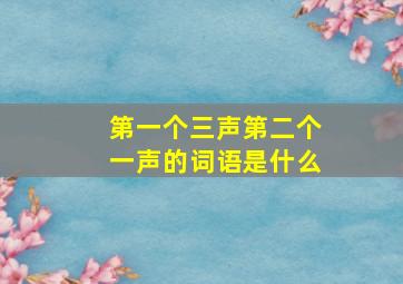 第一个三声第二个一声的词语是什么