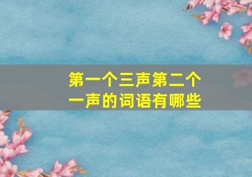 第一个三声第二个一声的词语有哪些