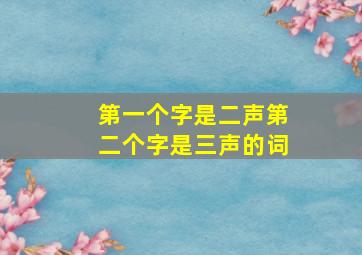 第一个字是二声第二个字是三声的词