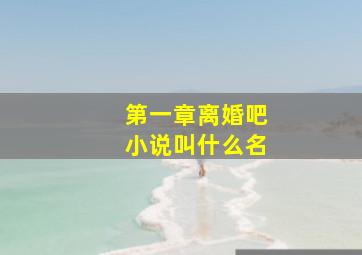 第一章离婚吧小说叫什么名