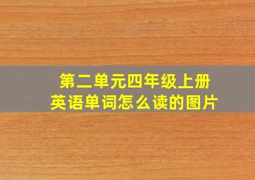 第二单元四年级上册英语单词怎么读的图片