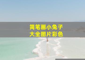 简笔画小兔子大全图片彩色