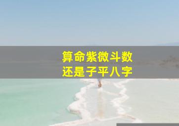 算命紫微斗数还是子平八字