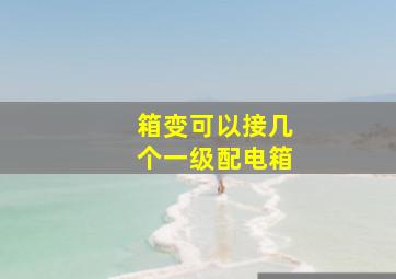 箱变可以接几个一级配电箱