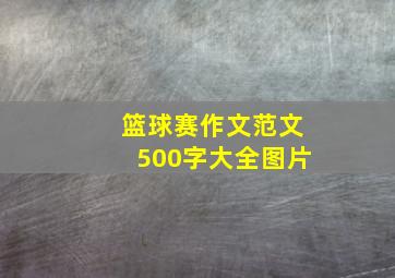 篮球赛作文范文500字大全图片