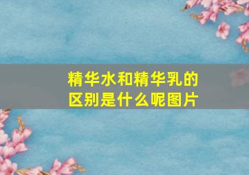 精华水和精华乳的区别是什么呢图片