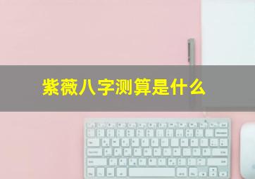 紫薇八字测算是什么