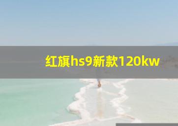 红旗hs9新款120kw