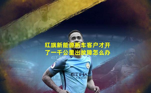红旗新能源新车客户才开了一千公里出故障怎么办