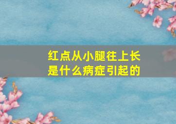 红点从小腿往上长是什么病症引起的