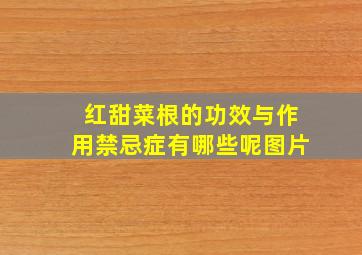 红甜菜根的功效与作用禁忌症有哪些呢图片