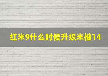 红米9什么时候升级米柚14