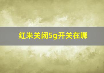 红米关闭5g开关在哪