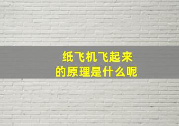 纸飞机飞起来的原理是什么呢