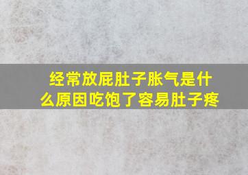 经常放屁肚子胀气是什么原因吃饱了容易肚子疼