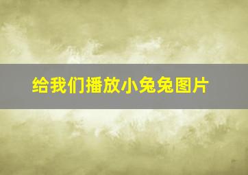 给我们播放小兔兔图片