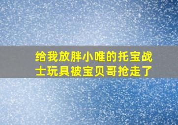 给我放胖小唯的托宝战士玩具被宝贝哥抢走了