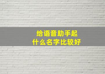 给语音助手起什么名字比较好