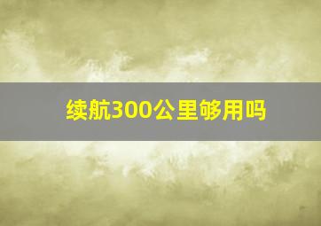 续航300公里够用吗