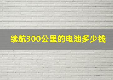 续航300公里的电池多少钱