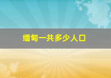 缅甸一共多少人口