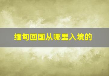 缅甸回国从哪里入境的