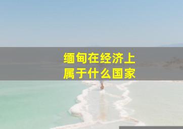 缅甸在经济上属于什么国家