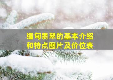 缅甸翡翠的基本介绍和特点图片及价位表