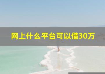 网上什么平台可以借30万