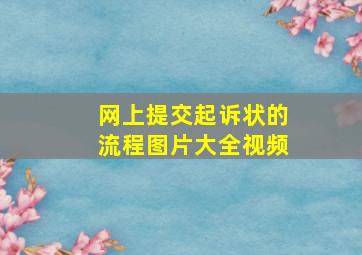 网上提交起诉状的流程图片大全视频