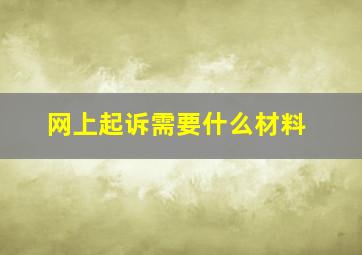 网上起诉需要什么材料