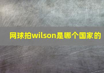 网球拍wilson是哪个国家的