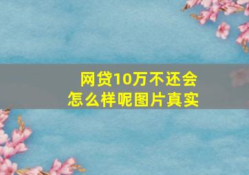 网贷10万不还会怎么样呢图片真实