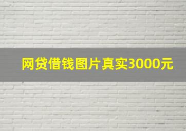 网贷借钱图片真实3000元