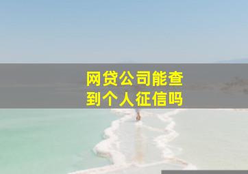 网贷公司能查到个人征信吗