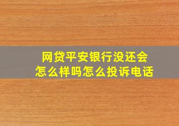 网贷平安银行没还会怎么样吗怎么投诉电话