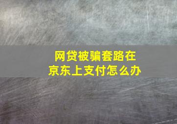 网贷被骗套路在京东上支付怎么办