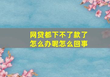 网贷都下不了款了怎么办呢怎么回事