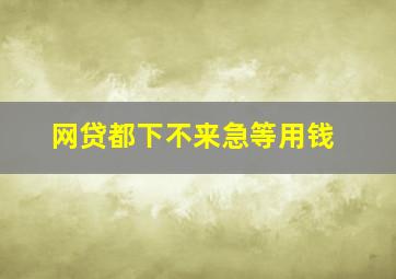 网贷都下不来急等用钱