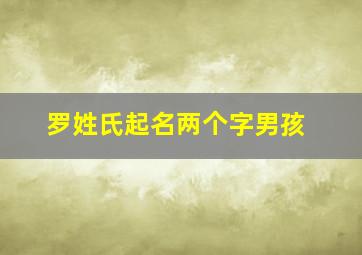 罗姓氏起名两个字男孩