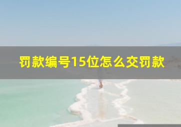 罚款编号15位怎么交罚款