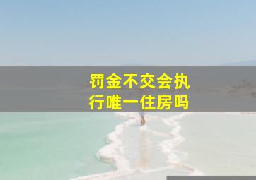 罚金不交会执行唯一住房吗