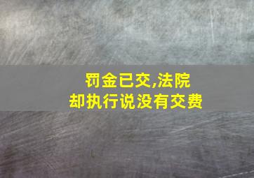 罚金已交,法院却执行说没有交费