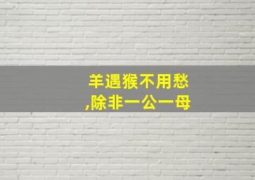 羊遇猴不用愁,除非一公一母