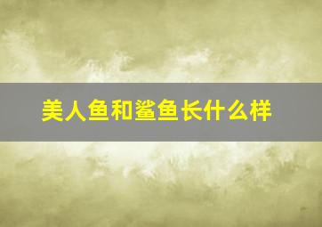 美人鱼和鲨鱼长什么样