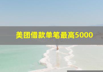 美团借款单笔最高5000