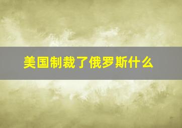 美国制裁了俄罗斯什么