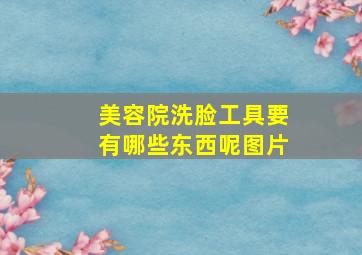 美容院洗脸工具要有哪些东西呢图片